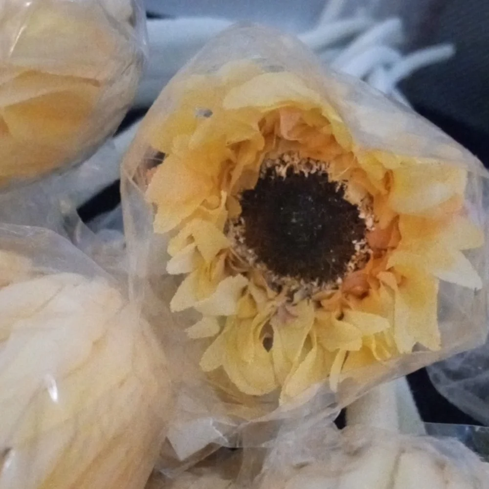 1 DOZ.Vibrant Cream &  Pink Gerber Daisy Faux Floral Accents